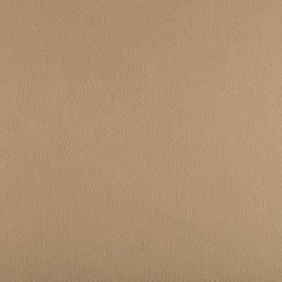 Фетр жесткий корейский 1.2 мм 814 (33x53 см) цвет бежевый