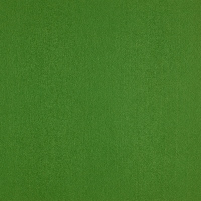 Фетр жесткий корейский 1.2 мм 864 (33x53 см) цвет травяной